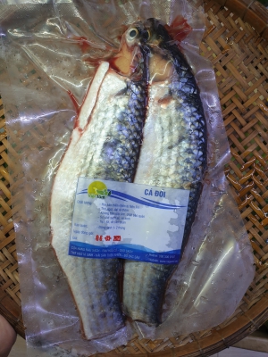 Cá Đối